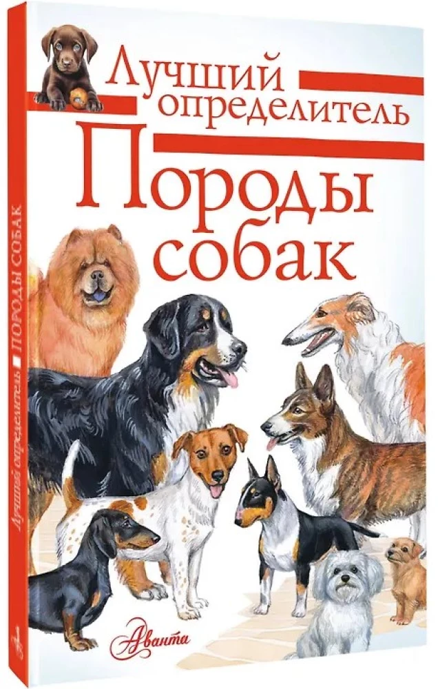 Šunų veislės. Nustatytojas
