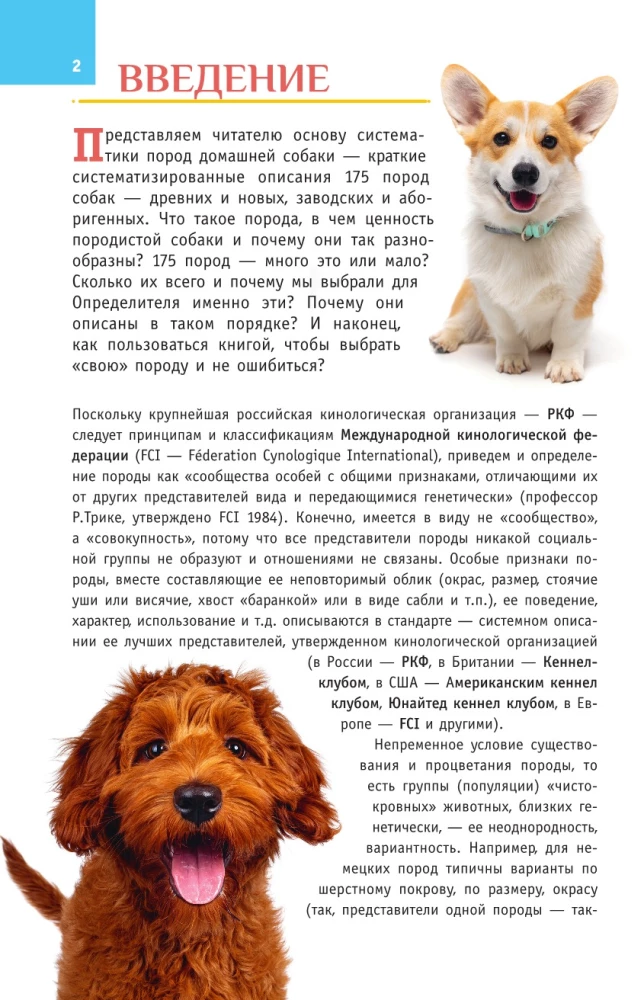 Šunų veislės. Nustatytojas