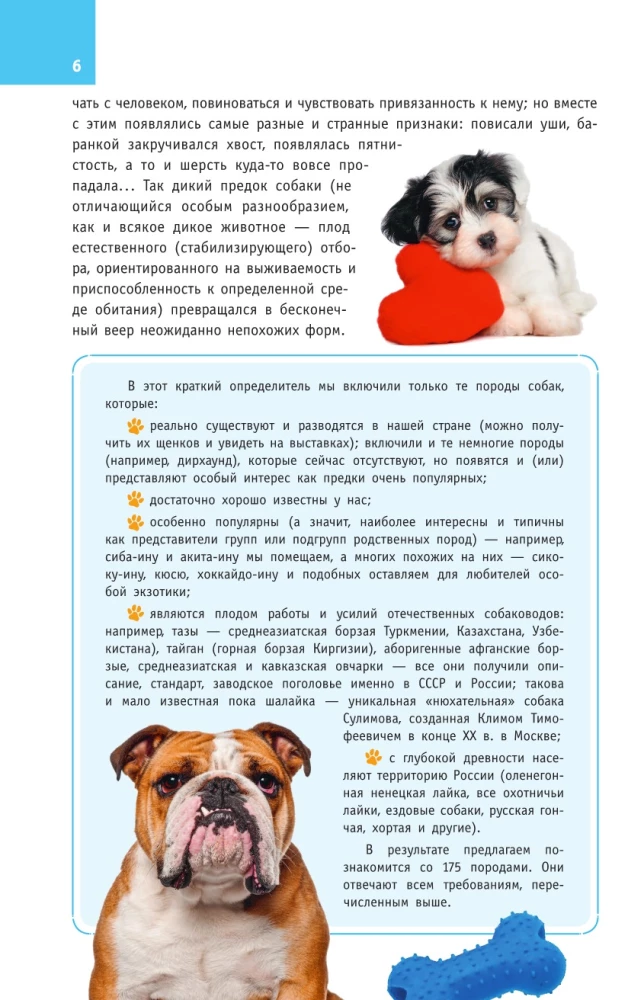 Šunų veislės. Nustatytojas