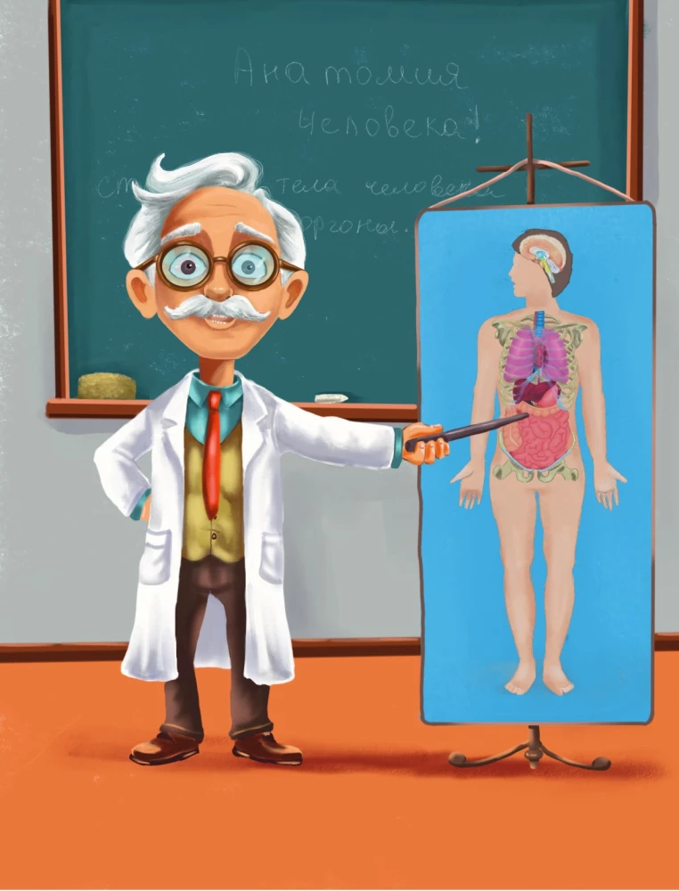 Fairy Tale Anatomy
