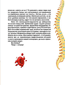 Fairy Tale Anatomy