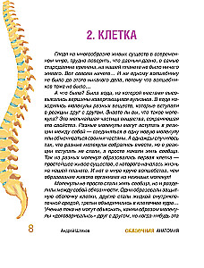 Fairy Tale Anatomy