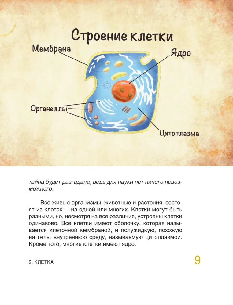 Fairy Tale Anatomy