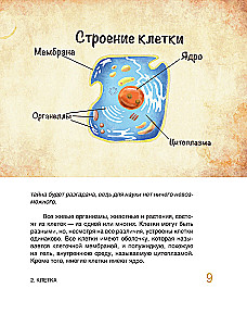 Fairy Tale Anatomy