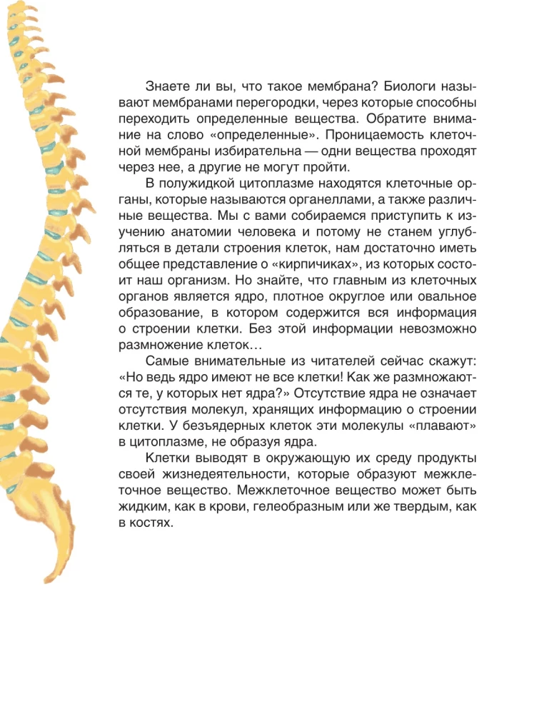 Fairy Tale Anatomy