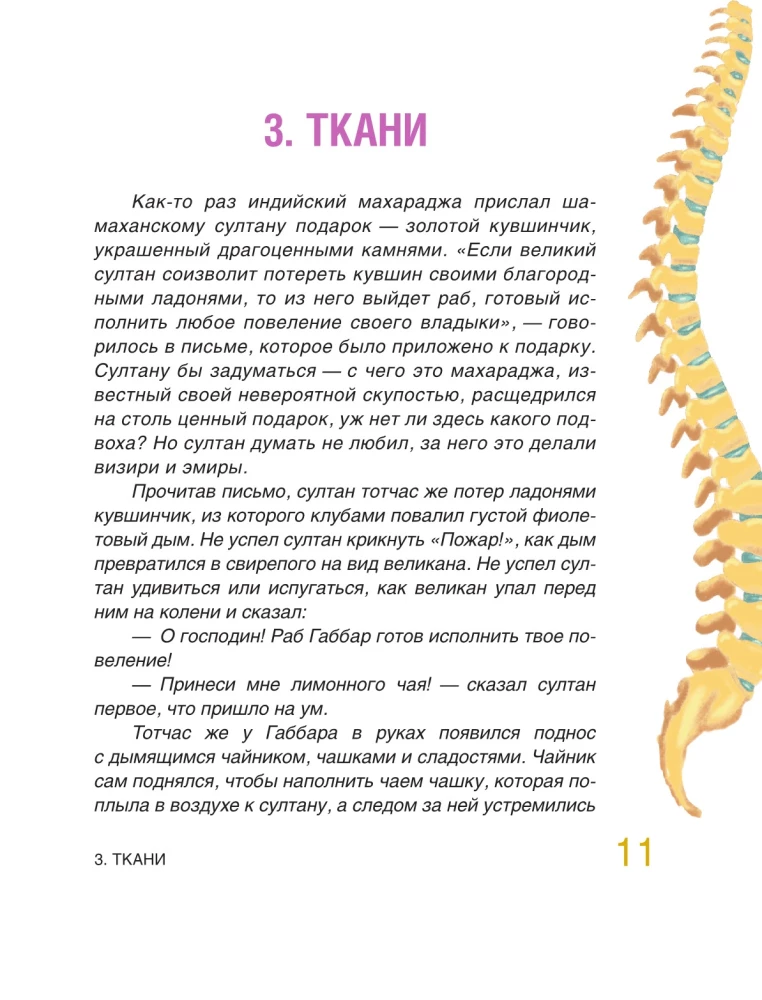 Fairy Tale Anatomy