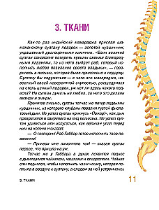 Fairy Tale Anatomy
