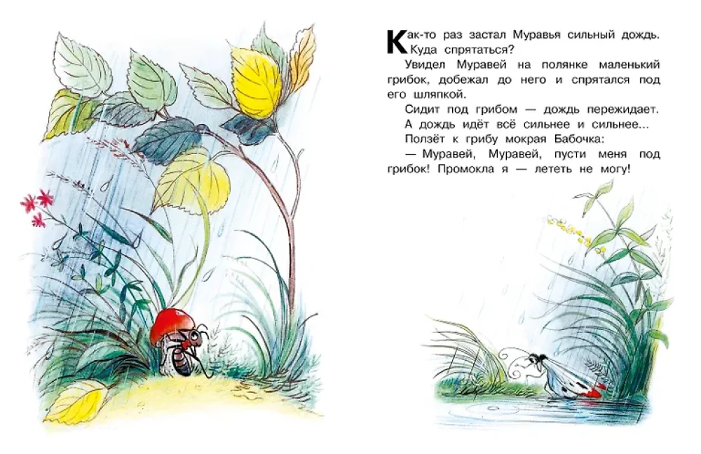 Kto powiedział miau? Bajki