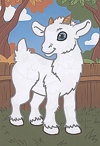 Naminių gyvūnų