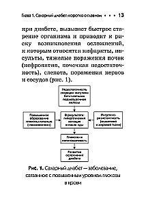 Diabetes. Pocket Guide