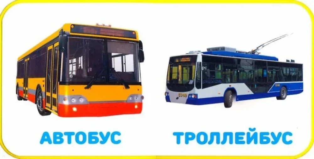Transport