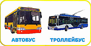 Transport