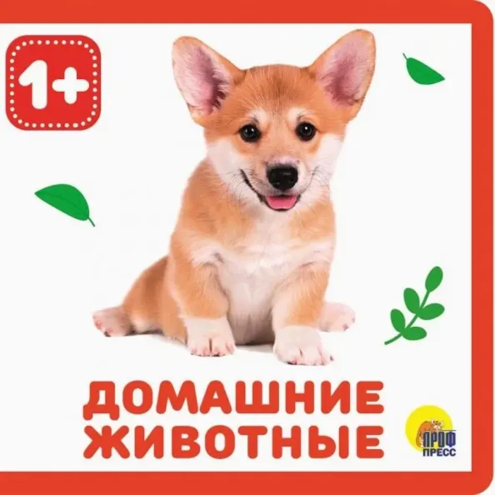 Koduloomad