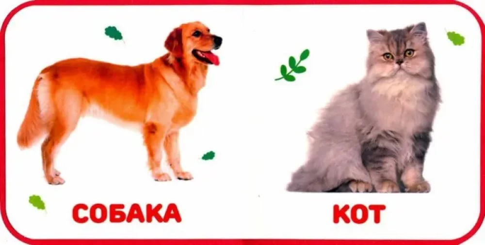 Koduloomad