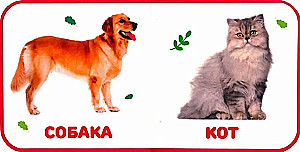 Koduloomad