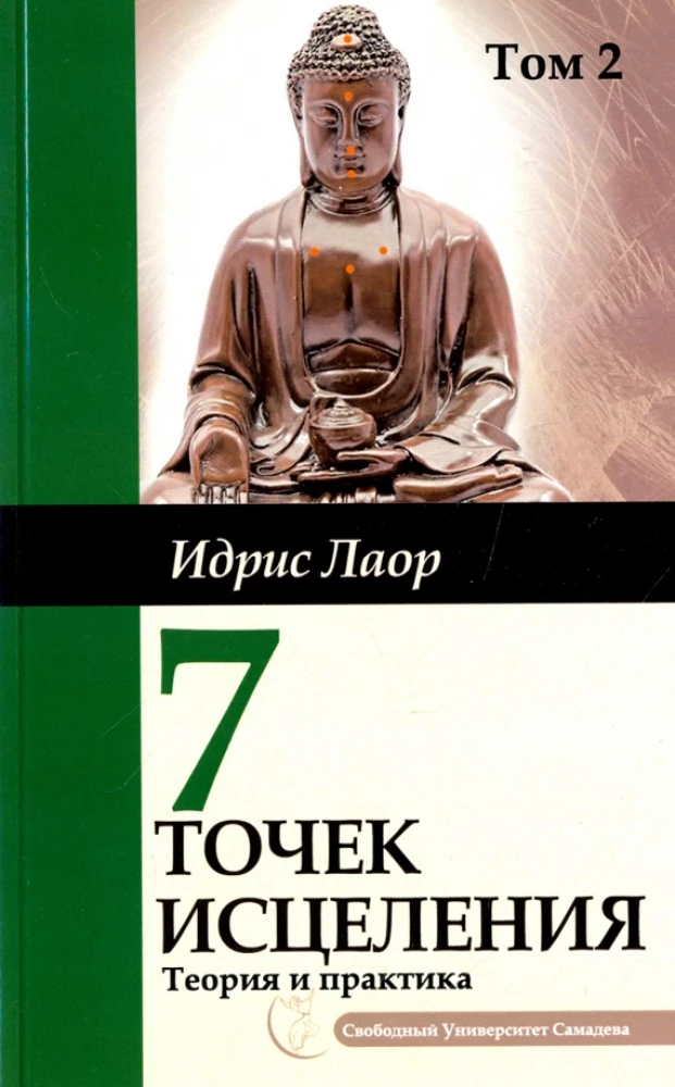 Septynios gydymo taškai. Tomas 2. Pagreitinti protokolai ir mąstymo schemos