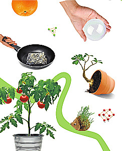 Experimente entdecken: Wunder mit eigenen Händen!