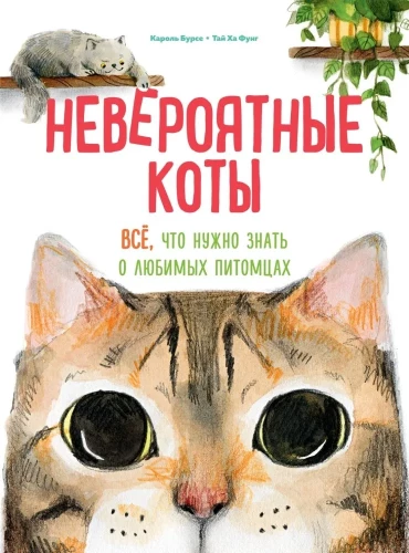 Neticami kaķi. Viss, kas jāzina par mīļākajiem mājdzīvniekiem