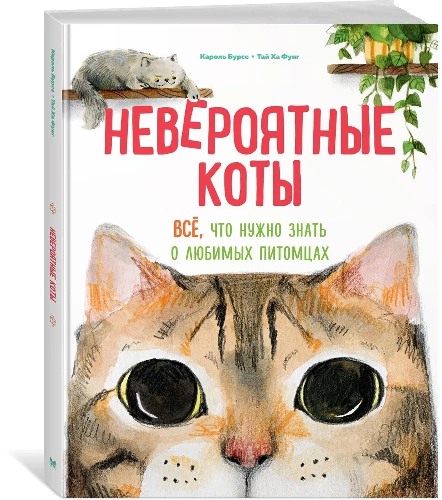 Niesamowite koty. Wszystko, co trzeba wiedzieć o ulubionych zwierzętach