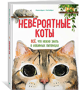 Niesamowite koty. Wszystko, co trzeba wiedzieć o ulubionych zwierzętach