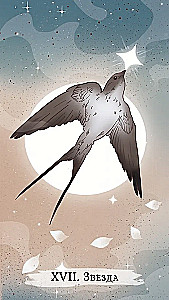 Tarot der Hexen (78 Karten + Broschüre)