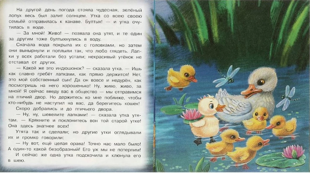 The Ugly Duckling