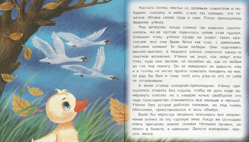 The Ugly Duckling