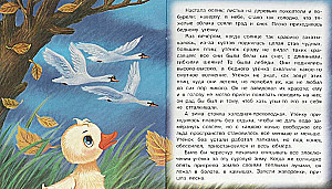 The Ugly Duckling