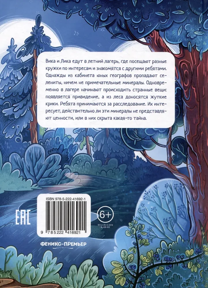 The Secret of the Forest Cabin