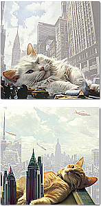 Sticky Edge Paper - Big City Cats (assorted)