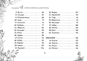 Oracle Messages from the Spirits of the Forest (brochure)