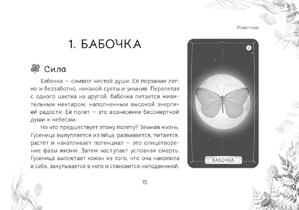 Oracle Messages from the Spirits of the Forest (brochure)