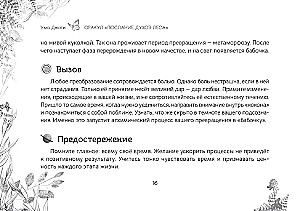 Oracle Messages from the Spirits of the Forest (brochure)