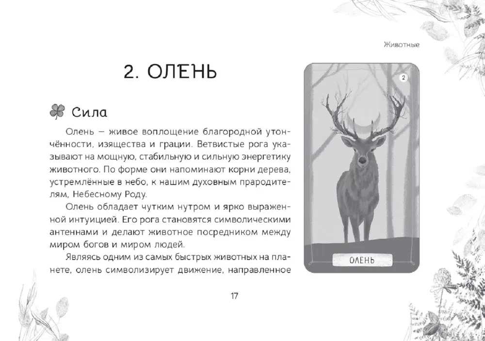 Oracle Messages from the Spirits of the Forest (brochure)