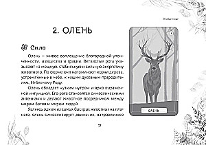 Oracle Messages from the Spirits of the Forest (brochure)