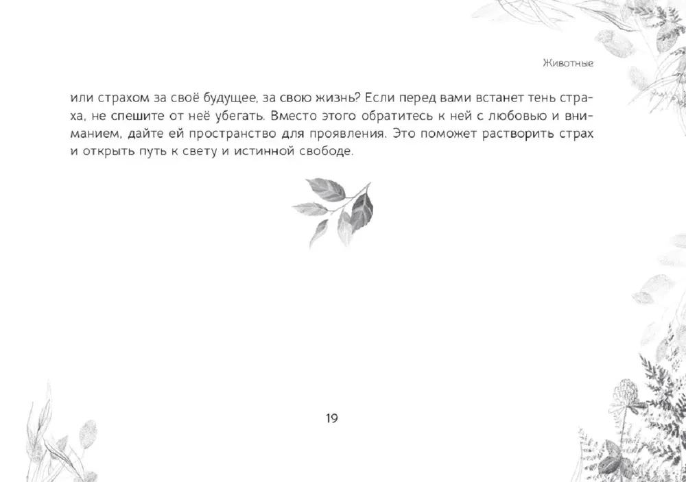 Oracle Messages from the Spirits of the Forest (brochure)