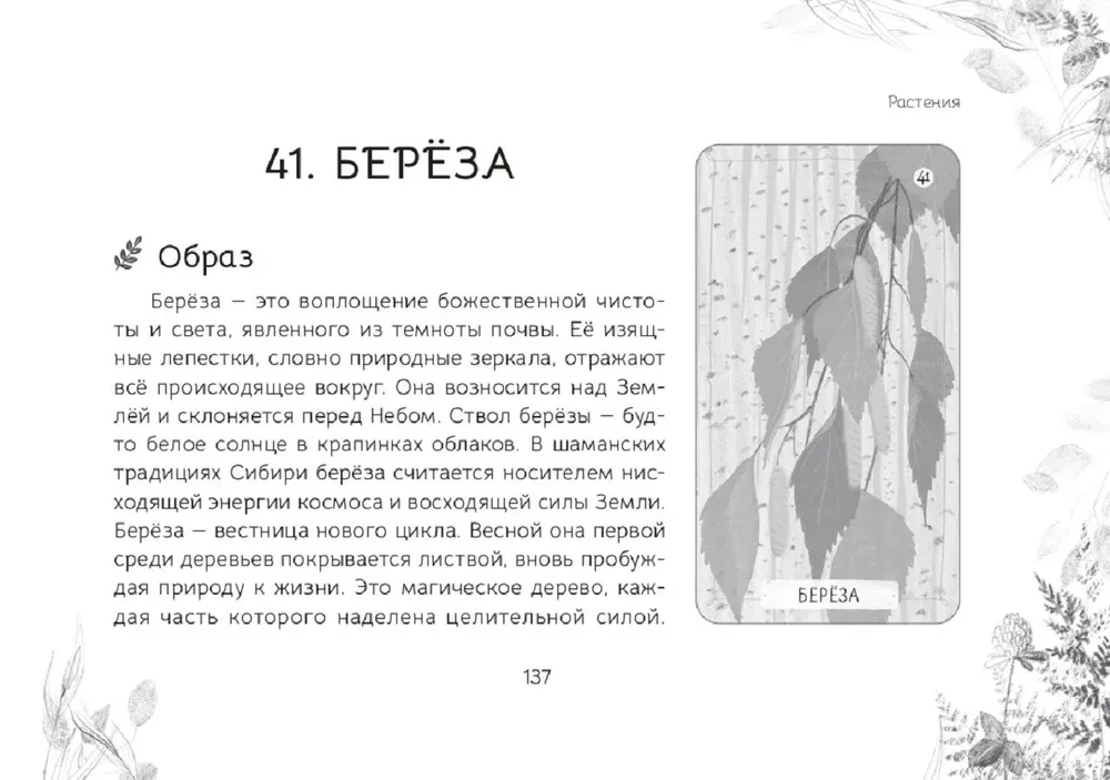 Oracle Messages from the Spirits of the Forest (brochure)