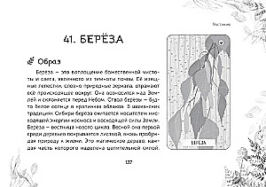 Oracle Messages from the Spirits of the Forest (brochure)