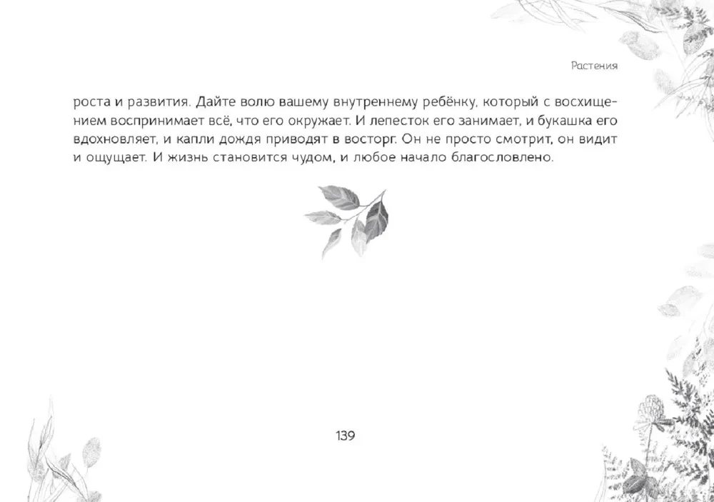 Oracle Messages from the Spirits of the Forest (brochure)
