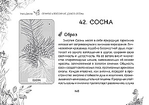 Oracle Messages from the Spirits of the Forest (brochure)