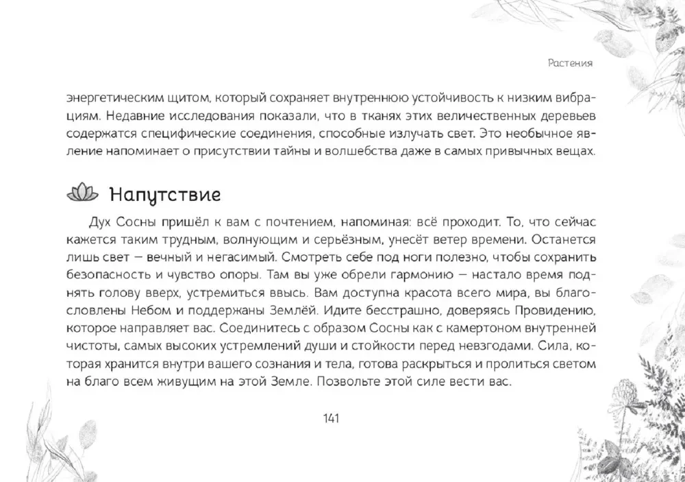 Oracle Messages from the Spirits of the Forest (brochure)