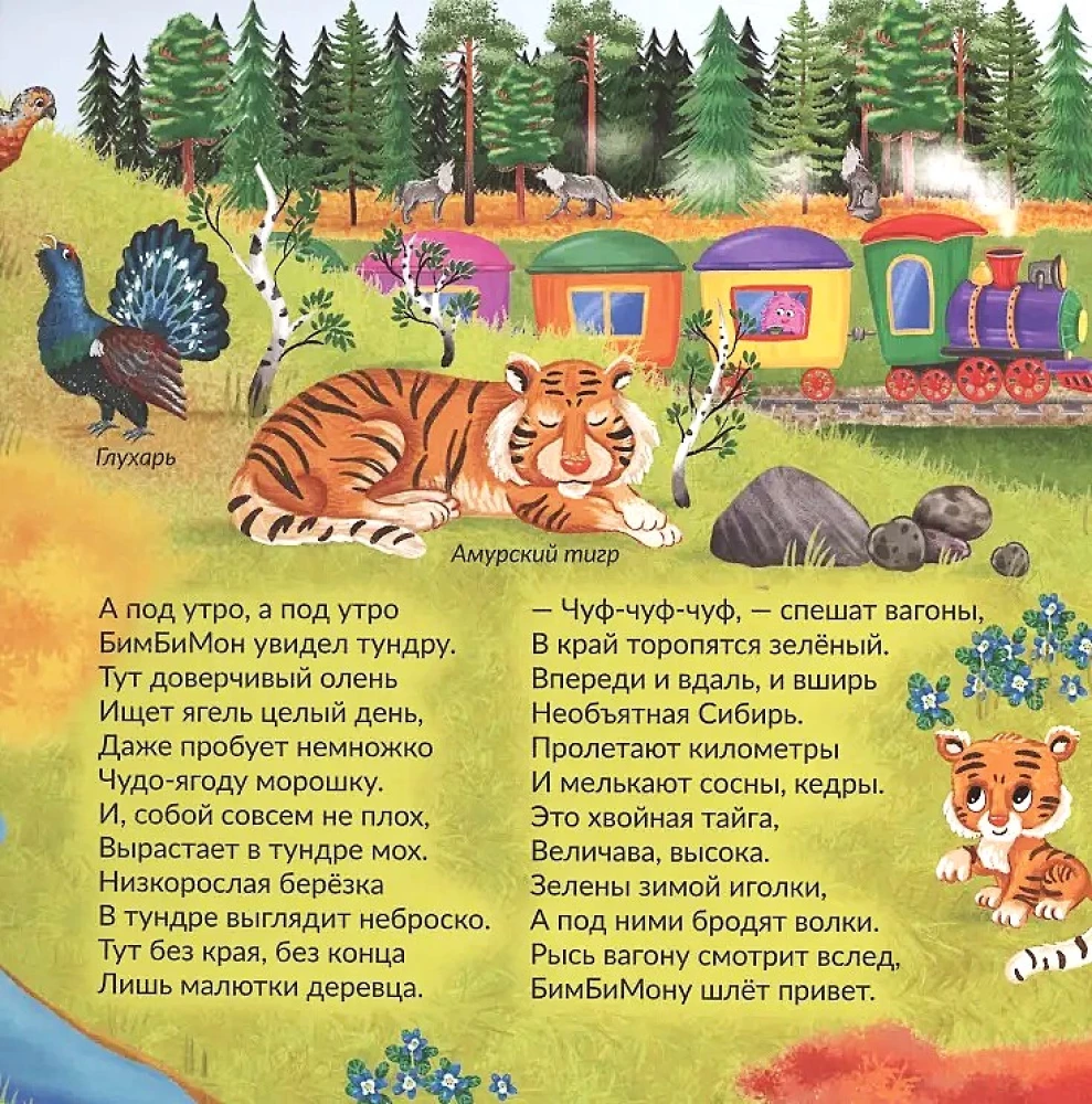 Książka z okienkami - Niezwykła podróż