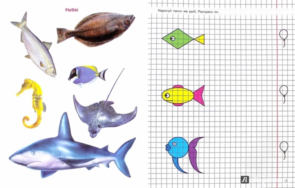 Geometry Around Us. Drawing on Graph Paper for Children Aged 5-7
