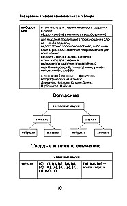 All the Rules of the Russian Language in Diagrams and Tables