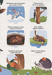Wiedza w oknach. Zwierzęta