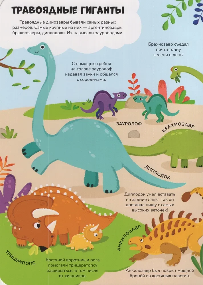 Wiedza w oknach. Dinozaury