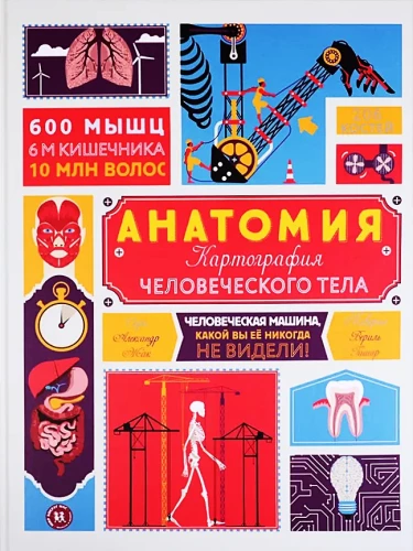 Anatomia. Karteografia ciała ludzkiego