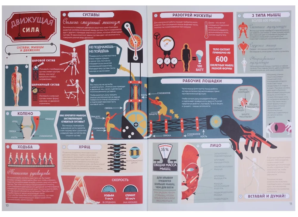 Anatomia. Karteografia ciała ludzkiego
