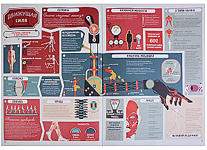 Anatomia. Karteografia ciała ludzkiego