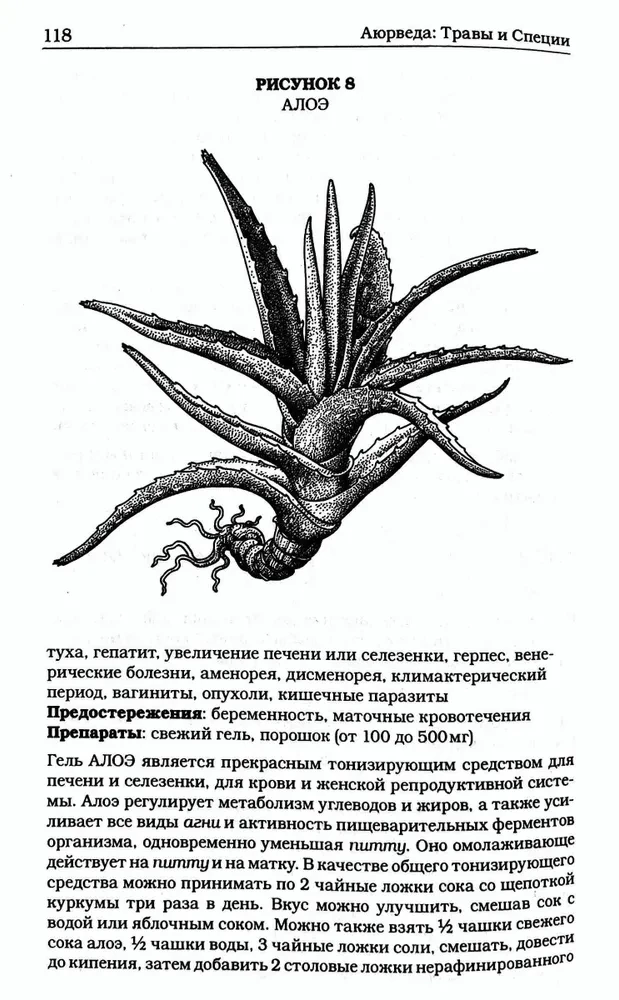 Травы и специи